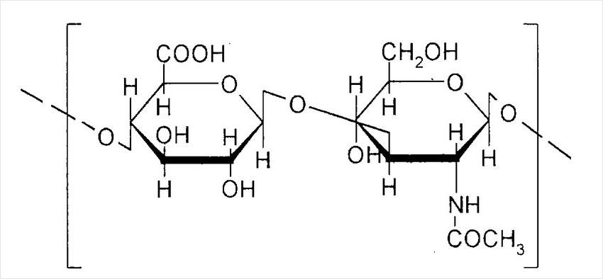 Гіалуронова кислота